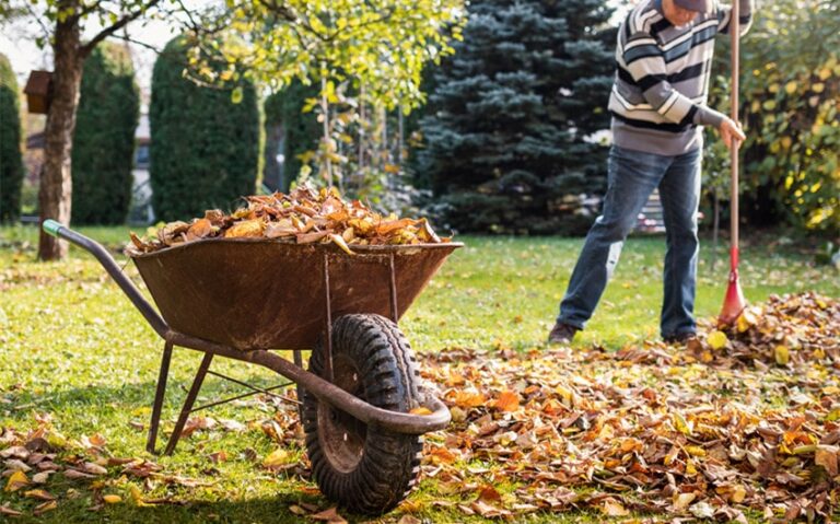 Wheelbarrel or Wheelbarrow: Clearing Up the Confusion