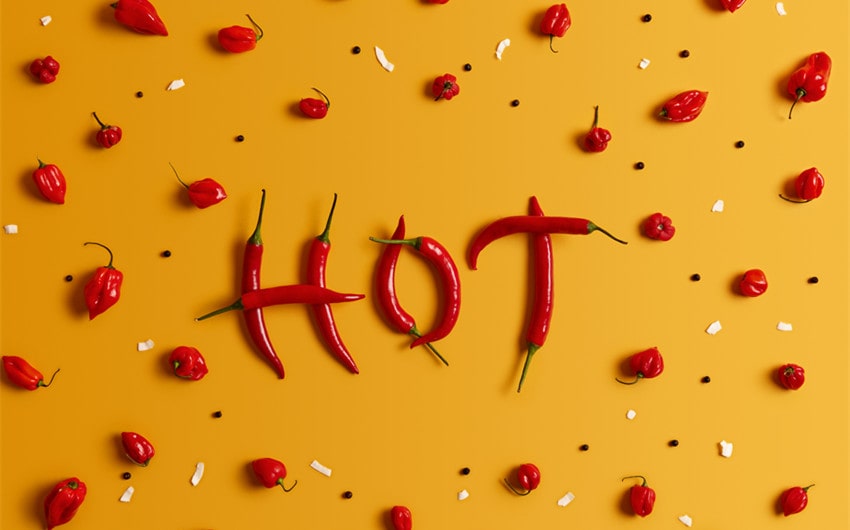 words that ryhme with hot