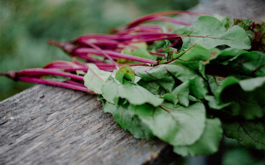 Beet Greens