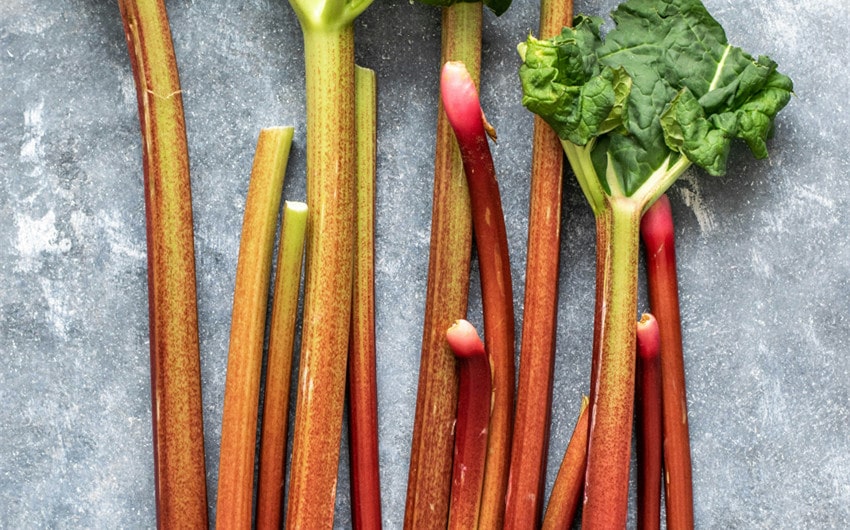 Rhubarb