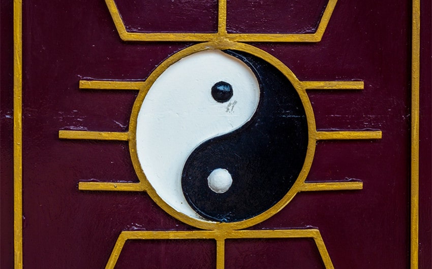 Yin and Yang as a Metaphor for Friendship