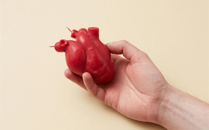 Organ Donor