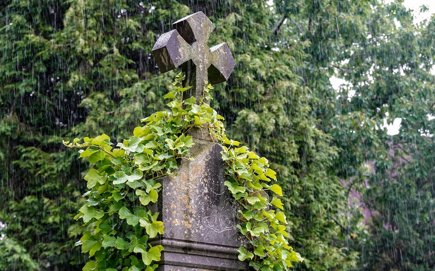 Rain After Death