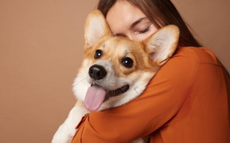 selecting the right animal