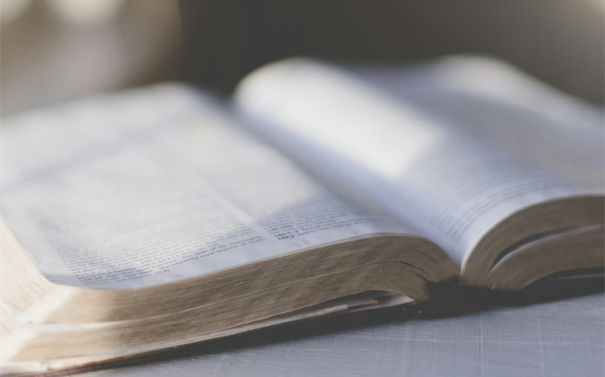 Biblical Meaning and Interpretations of Ayla