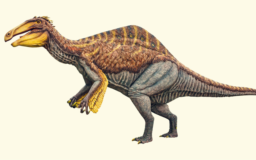 Deinocheirus