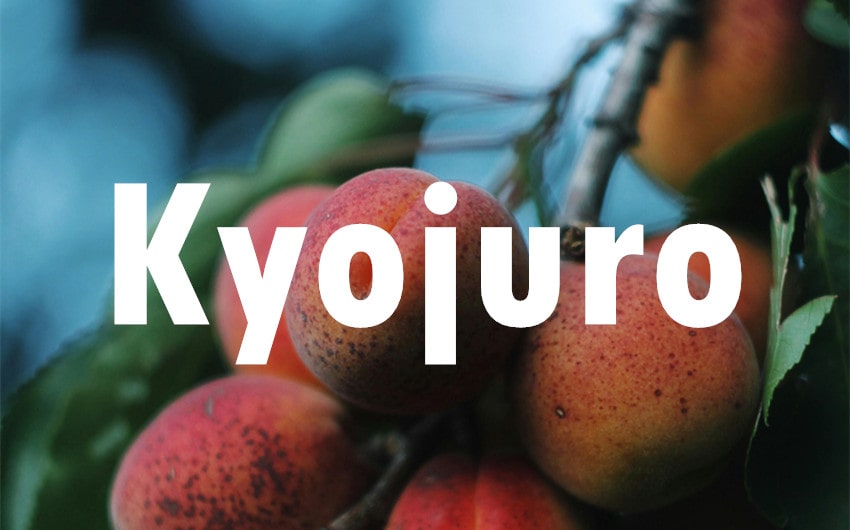 Kyojuro