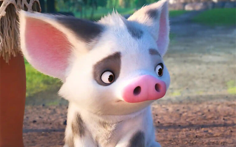 moana pig name meaning