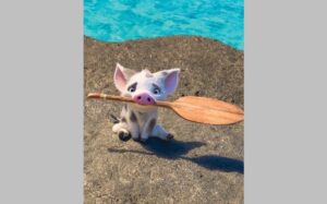 Moana Pig Name Meaning and What It Symbolizes in the Film