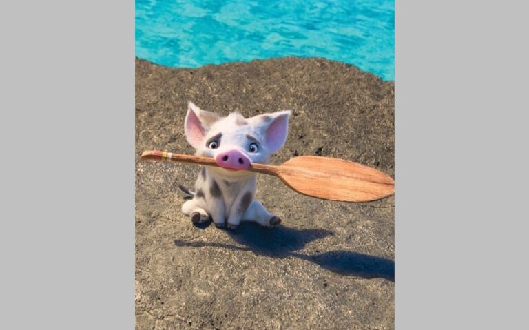 Moana Pig Name Meaning and What It Symbolizes in the Film