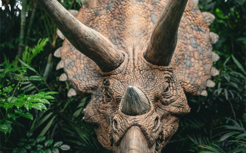styracosaurus