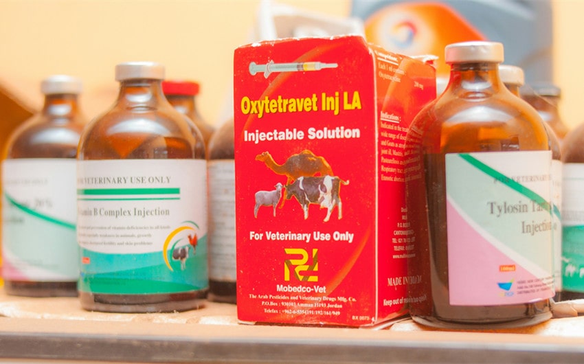 Antibiotics and Hormones in Animal Agriculture