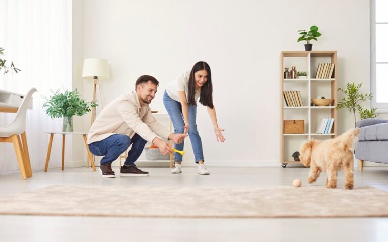 Essential Tips for New Dog Owners