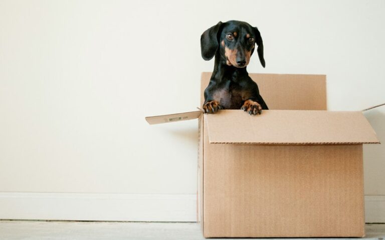 make moving less stressful